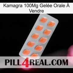 Kamagra 100Mg Gelée Orale À Vendre 26
